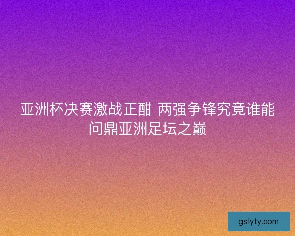 亚洲杯决赛激战正酣 两强争锋究竟谁能问鼎亚洲足坛之巅