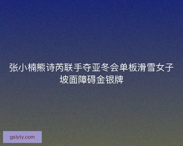张小楠熊诗芮联手夺亚冬会单板滑雪女子坡面障碍金银牌