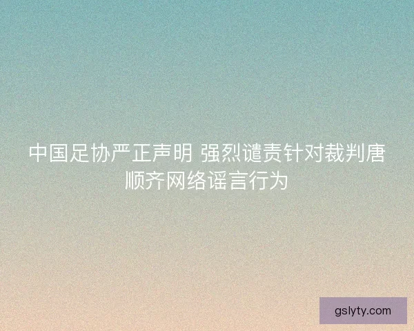中国足协严正声明 强烈谴责针对裁判唐顺齐网络谣言行为
